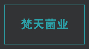 食品行业西安冲锋衣设计款式